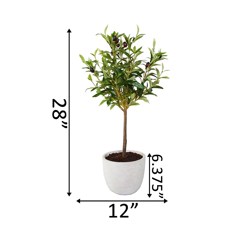 Flora Bunda® 28" Olive Tree In 7.25" Gray Cement Pot