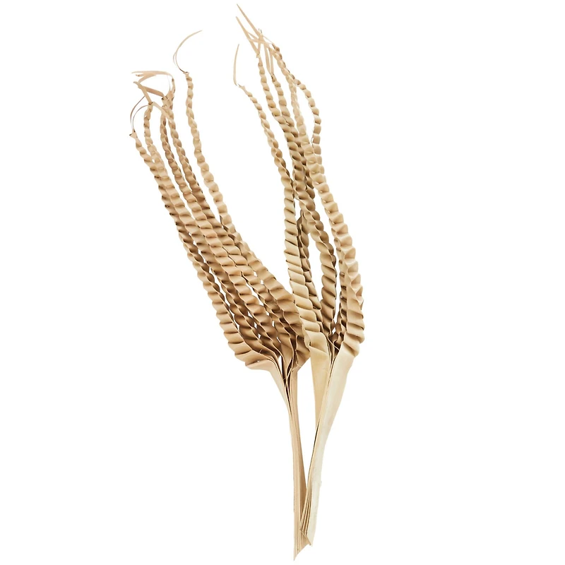 32" Beige Dried Plant Palm Leaf Natural Foliage