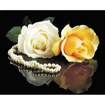 Sparkly Selections Roses on Glass Diamond Art Kit