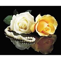 Sparkly Selections Roses on Glass Diamond Art Kit