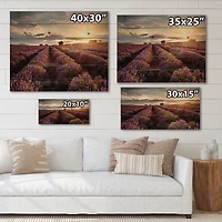 Designart - Sunrise & Dramatic Clouds Over Lavender Field V