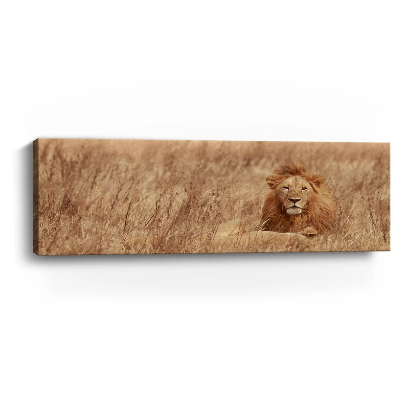 Majestic Lion Canvas Giclee