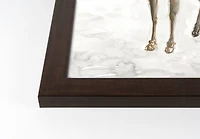 Winter Deer Walnut Framed Print Under Plexiglass