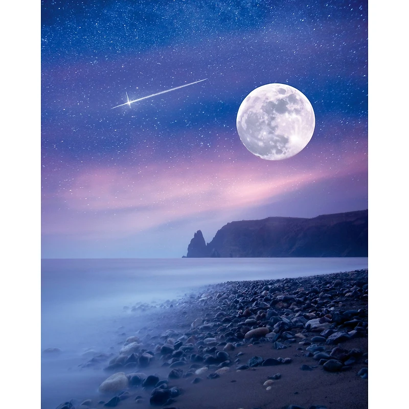 8" x 10" Celestial Beach Canvas Paint Kit by Craft Smart®
