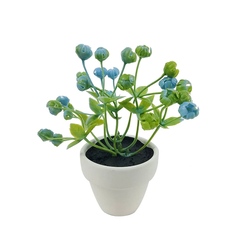 Assorted Micro Plant, 1pc. by Ashland®