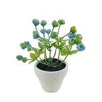 Assorted Micro Plant, 1pc. by Ashland®