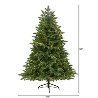 5ft. Pre-Lit Wyoming Fir Artificial Christmas Tree with Clear LED Lights
