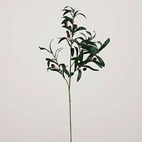 28" Olive Branch Stems, 3ct.