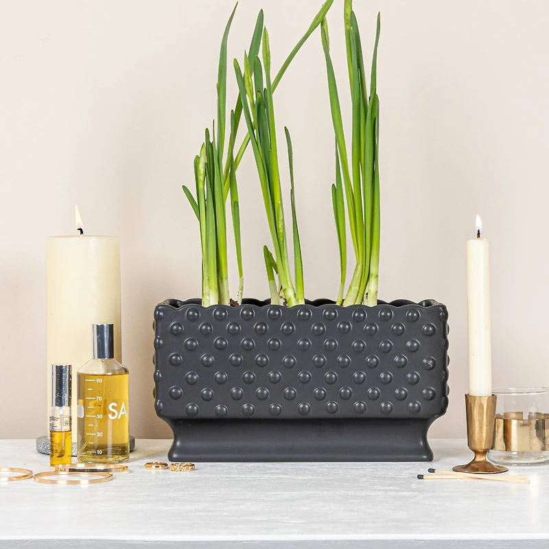 Hello Honey® 11" Black Ceramic Hobnail Planter with Scalloped Edge