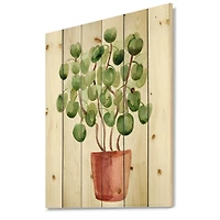 Designart - Chinese Money Plant In Pot