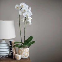 Hello Honey® 6.5" White & Gold Hand-Painted Stoneware Planter