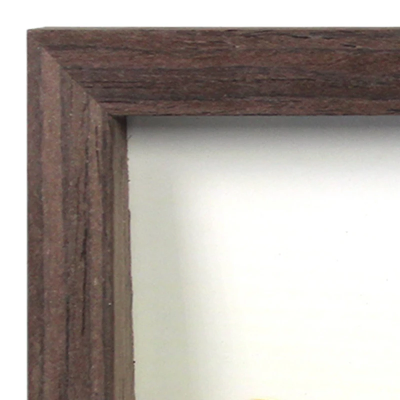 Expressions™ 2 Opening 4" x 6" Walnut Angled Collage Frame by Studio Décor®