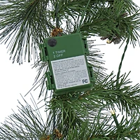 9ft. Whitter Pine Garland With LED Lights