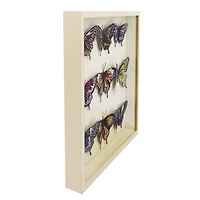 17" Butterfly Shadow Box Wall Décor by Ashland®
