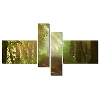 Designart - Suns Peeks into Forest