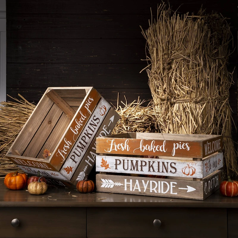 Glitzhome® Wooden Pumpkin Crate Set