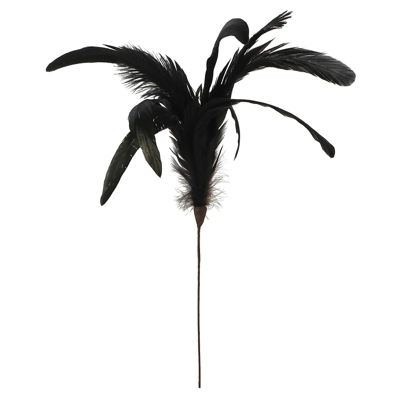 Halloween Feather Pick by Ashland