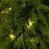 3ft. Pre-Lit Artificial Lightly Snowed Cypress Christmas Tree with 38 Warm White LED Lights in Decorative Weaved Basket