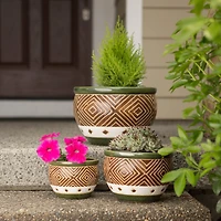 Green Jade Planter Set