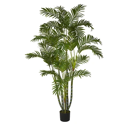 5ft. Potted Areca Palm Tree