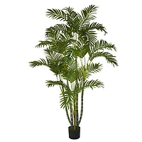 5ft. Potted Areca Palm Tree