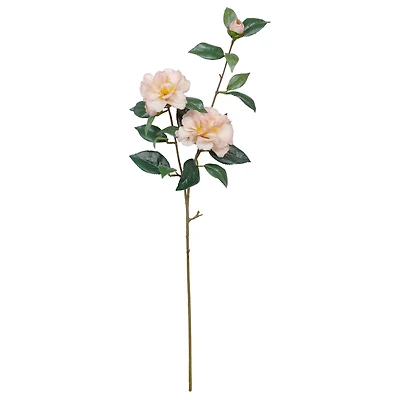 34" Camellia Spray Stem by Ashland