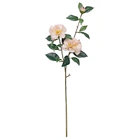 34" Camellia Spray Stem by Ashland