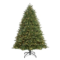 6.5ft. Pre-Lit Douglas Fir Artificial Christmas Tree, Clear Lights