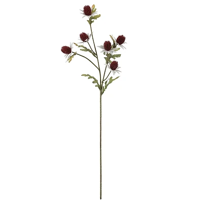 28" Burgundy Thistle Stem by Ashland®