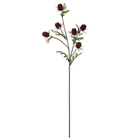 28" Burgundy Thistle Stem by Ashland®
