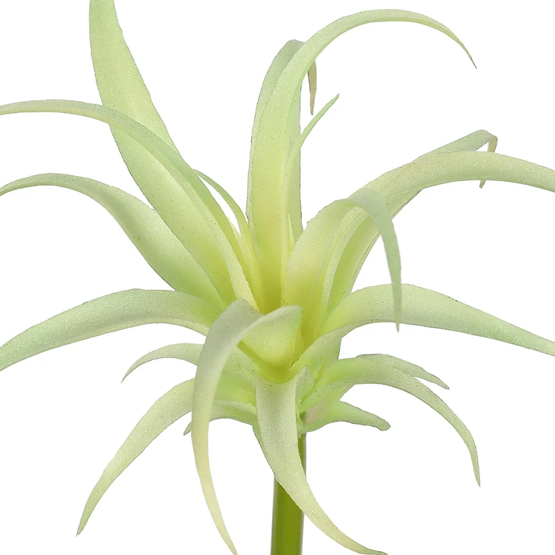 Assorted 7" Tillandsia Pick by Ashland®