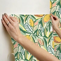 NuWallpaper Main Squeeze Peach Peel & Stick Wallpaper