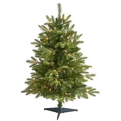 3ft. Pre-Lit Grand Teton Fir Artificial Christmas Tree, Clear LED Lights