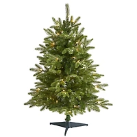 3ft. Pre-Lit Grand Teton Fir Artificial Christmas Tree, Clear LED Lights