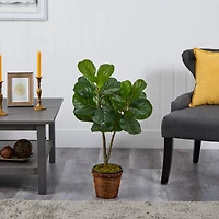 2.7ft. Fiddle Leaf Fig Tree in Basket
