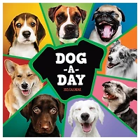 TF Publishing 2025 Dog-a-Day Wall Calendar