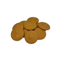 Melt Craft™ Salted Caramel Candy Wafers