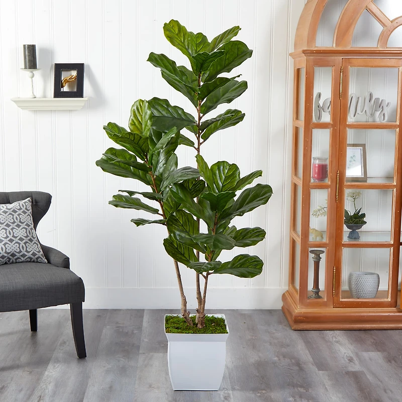 5.5ft. UV Resistant Fiddle Leaf Tree in White Metal Planter