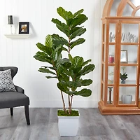 5.5ft. UV Resistant Fiddle Leaf Tree in White Metal Planter