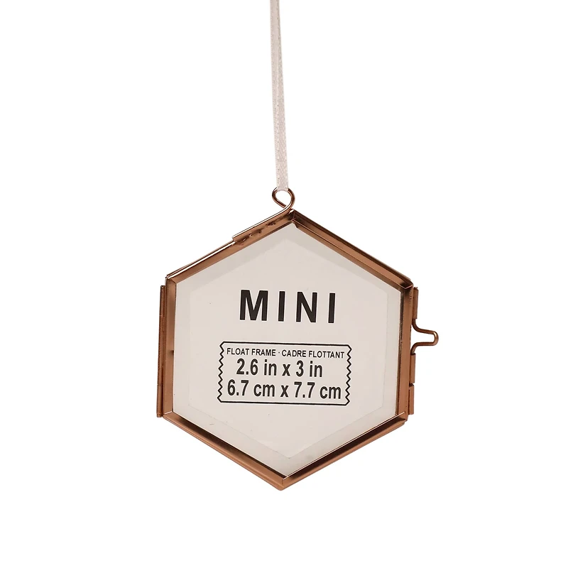 Mini Hexagon Float Frame by Studio Décor