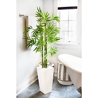 5ft. UV Resistant Bamboo Tree in White Planter
