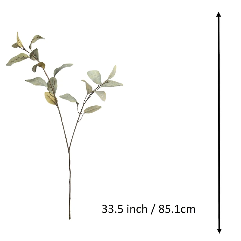 Green Feather Eucalyptus Stem by Ashland®