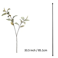Green Feather Eucalyptus Stem by Ashland®