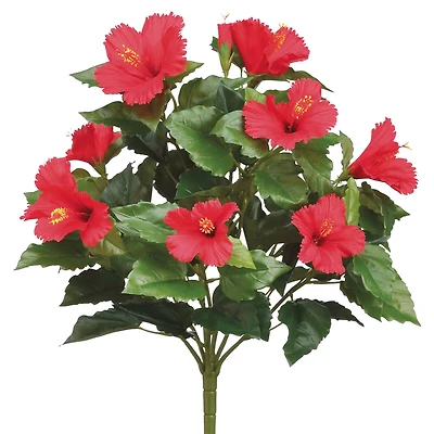 Red Hibiscus Bush
