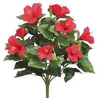 Red Hibiscus Bush