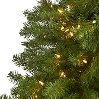 7ft. Pre-Lit Springfield Artificial Christmas Tree, Clear LED Lights