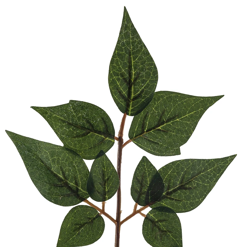 China Dollar Spray Floral Essentials by Ashland®