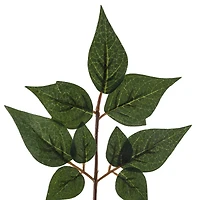 China Dollar Spray Floral Essentials by Ashland®