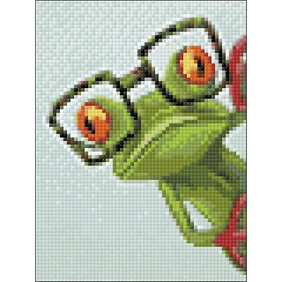 Crafting Spark Frog with Glasses Diamond Painting Kit