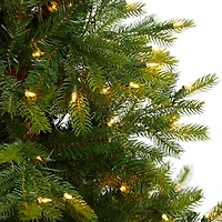 5ft. Pre-Lit North Carolina Spruce Artificial Christmas Tree, Clear Lights